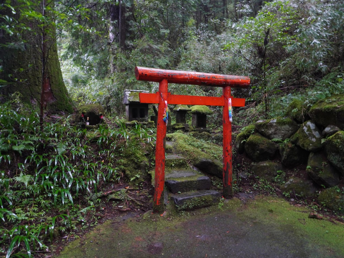 kamiyama’s requiem