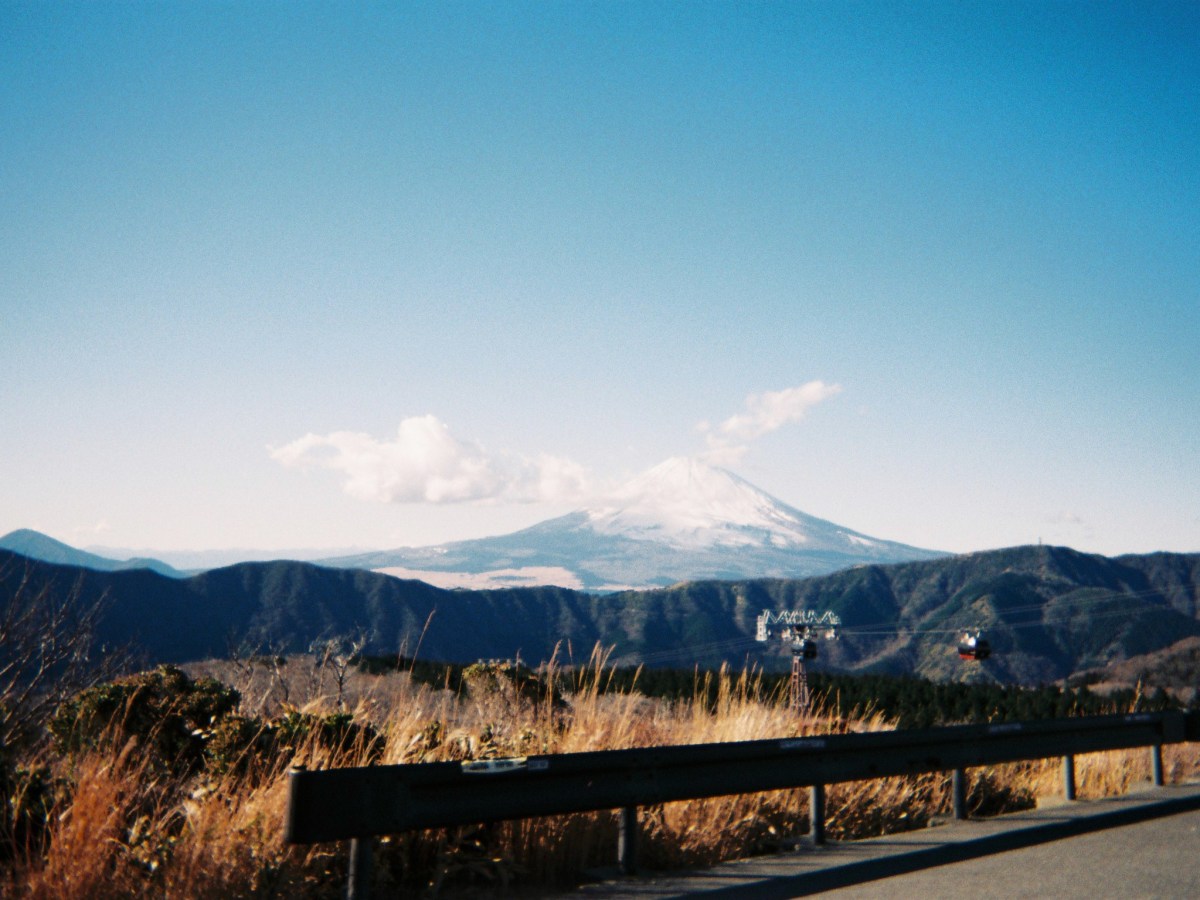 snapshots from a year well&nbsp;spent